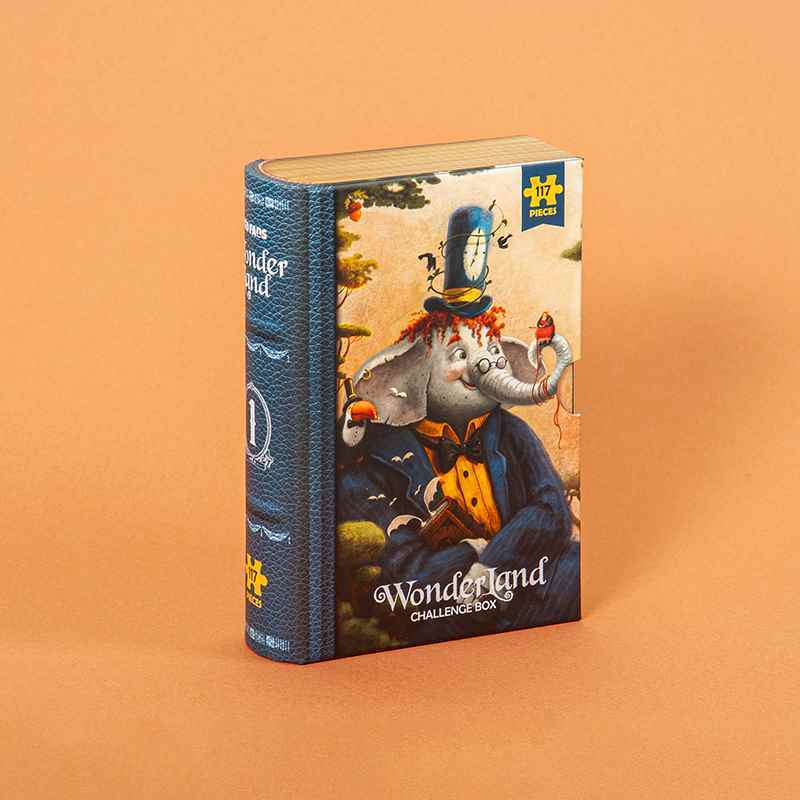 پازل کیدفنز کد2425